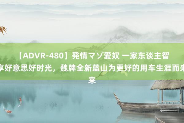 【ADVR-480】発情マゾ愛奴 一家东谈主智享好意思好时光，魏牌全新蓝山为更好的用车生涯而来