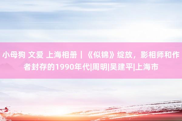 小母狗 文爱 上海相册｜《似锦》绽放，影相师和作者封存的1990年代|周明|吴建平|上海市