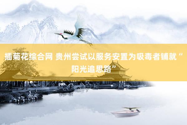 插菊花综合网 贵州尝试以服务安置为吸毒者铺就“阳光追思路”
