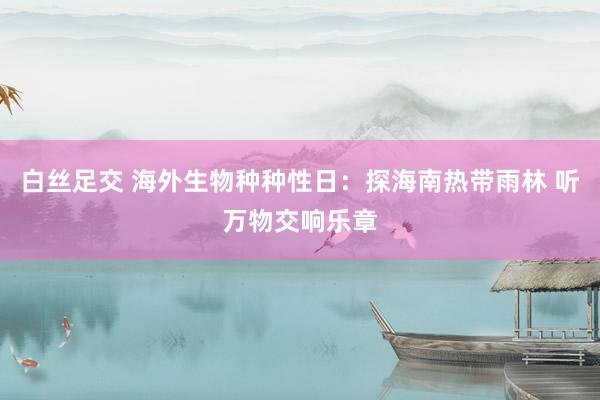 白丝足交 海外生物种种性日：探海南热带雨林 听万物交响乐章