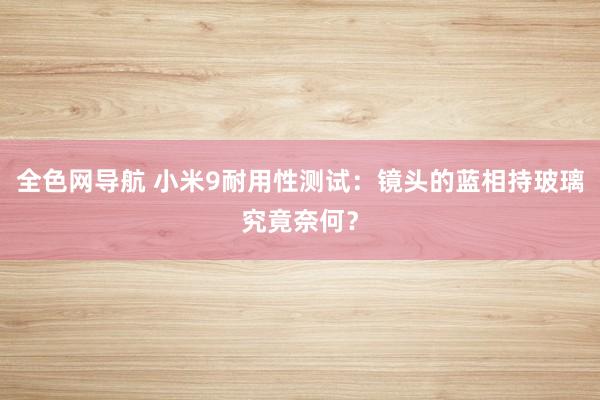 全色网导航 小米9耐用性测试：镜头的蓝相持玻璃究竟奈何？