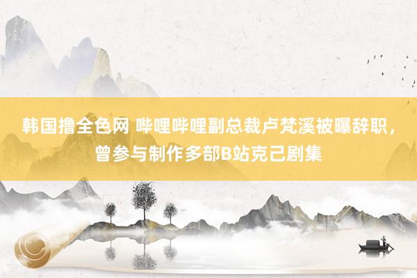 韩国撸全色网 哔哩哔哩副总裁卢梵溪被曝辞职，曾参与制作多部B站克己剧集