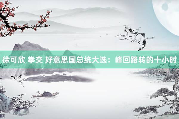 徐可欣 拳交 好意思国总统大选：峰回路转的十小时