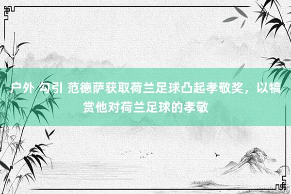 户外 勾引 范德萨获取荷兰足球凸起孝敬奖，以犒赏他对荷兰足球的孝敬