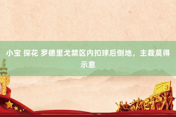 小宝 探花 罗德里戈禁区内扣球后倒地，主裁莫得示意