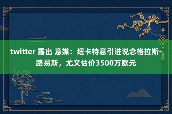 twitter 露出 意媒：纽卡特意引进说念格拉斯-路易斯，尤文估价3500万欧元